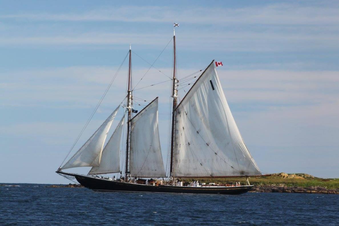 North Star Beach Suites Louisbourg Eksteriør bilde